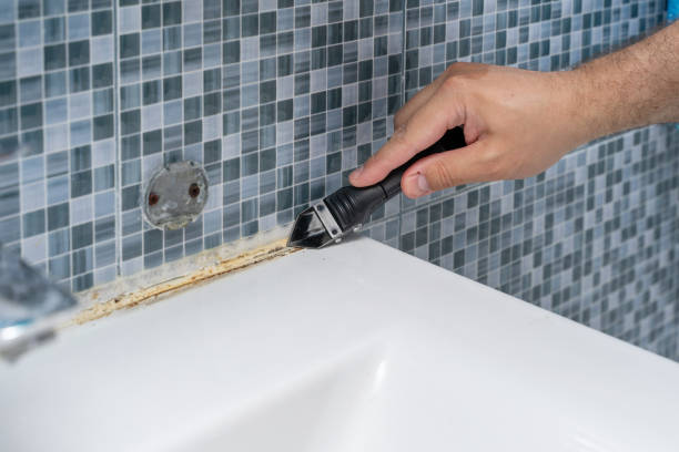 Best Black Mold Remediation in Newell, WV